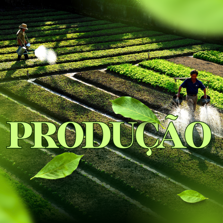 PRODU&Ccedil;&Atilde;O